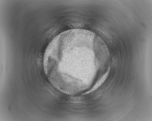 X0000115540181200912041019