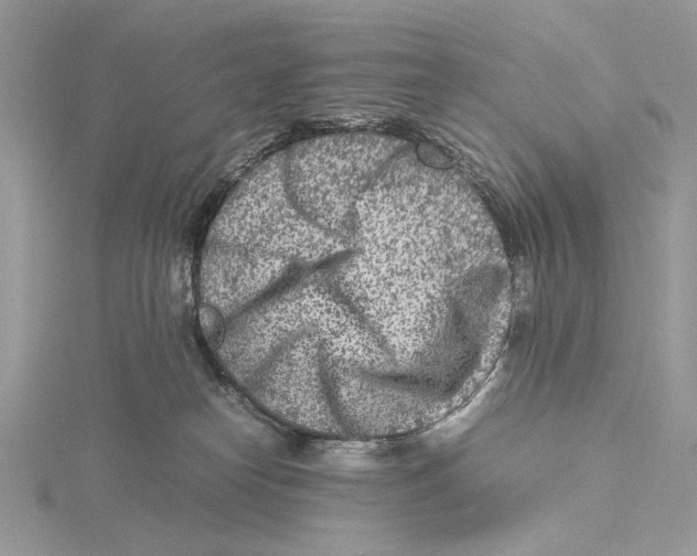 X0000115540182200912041019