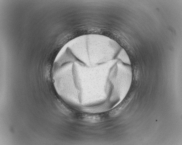 X0000115540185200912041019