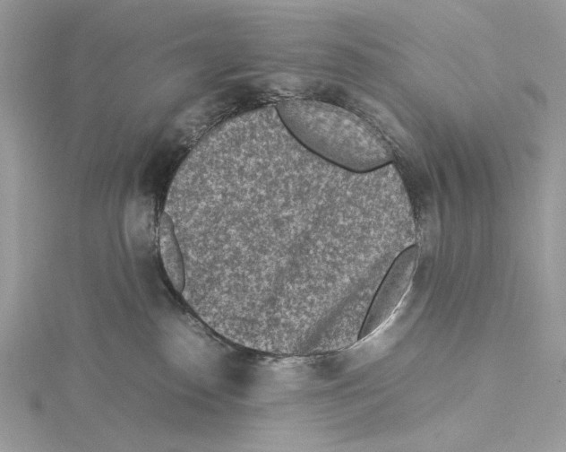 X0000115540186200912041019