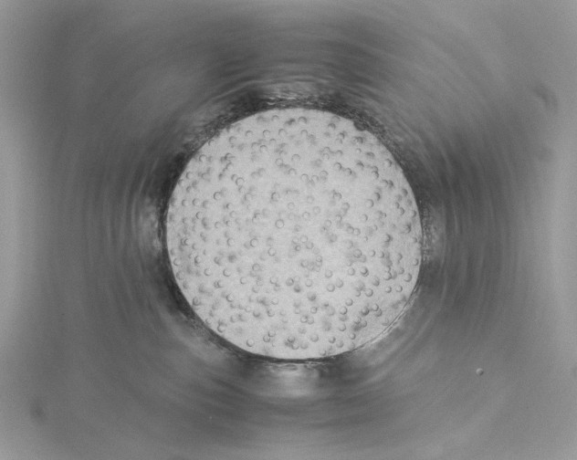 X0000115540187200912041019