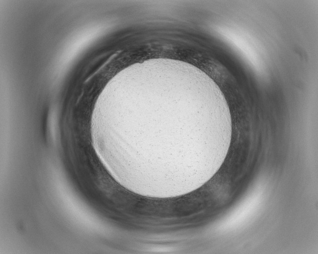 X0000115540189200912041019