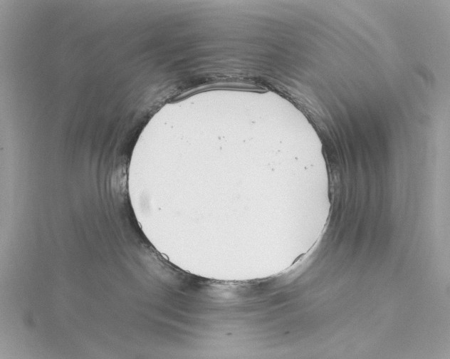 X0000115540190200912041019