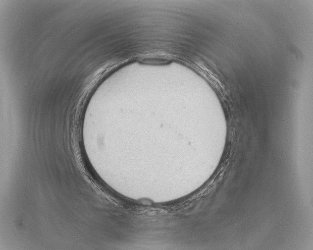 X0000115540193200912041018