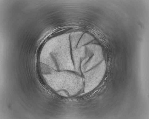 X0000115540194200912041018