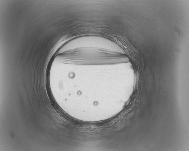 X0000115540195200912041018