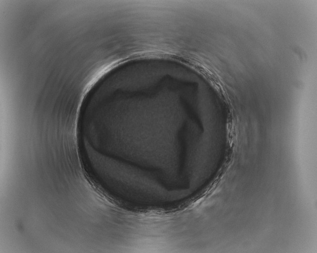 X0000115540196200912041018