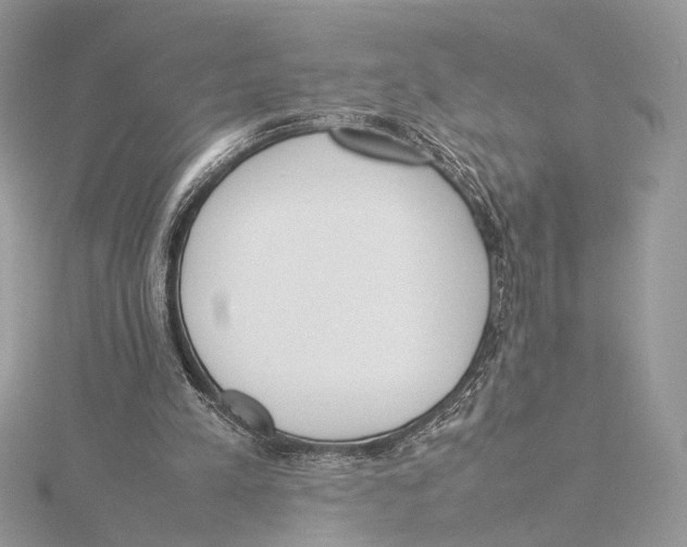 X0000115540197200912041018