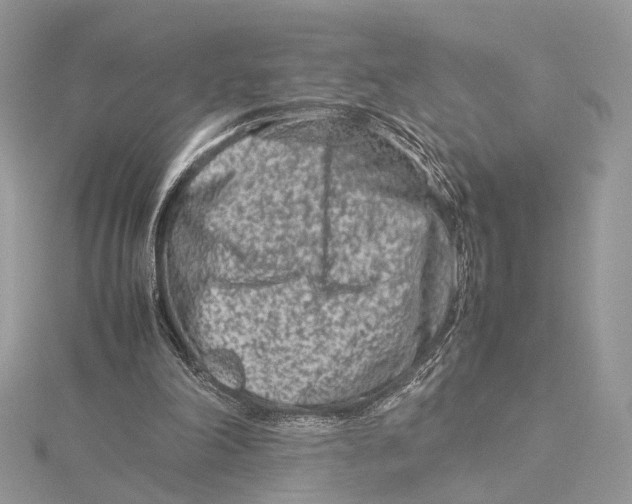 X0000115540198200912041018