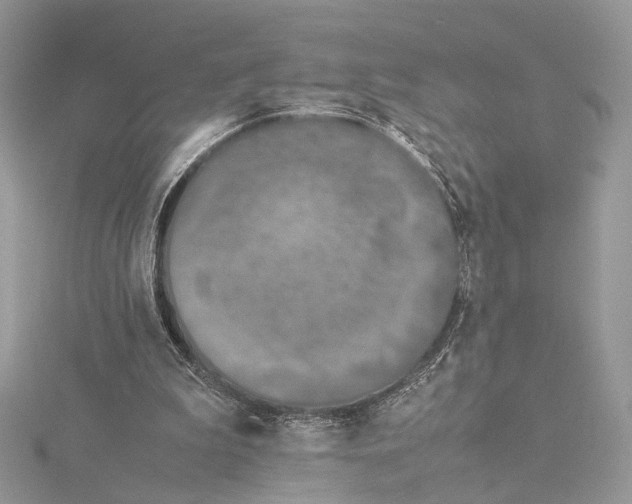 X0000115540199200912041018