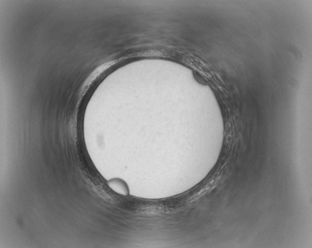 X0000115540200200912041018