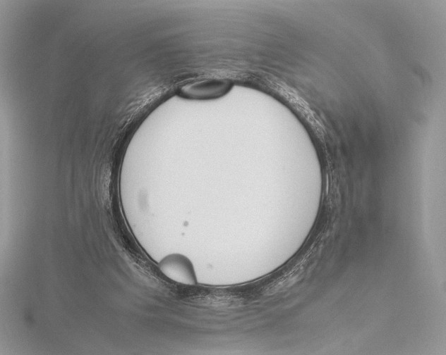 X0000115540201200912041018