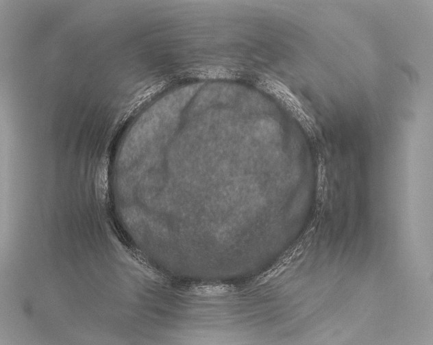 X0000115540202200912041018