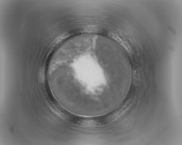 X0000115540203200912041018