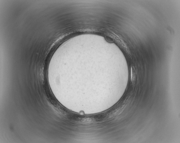 X0000115540204200912041018