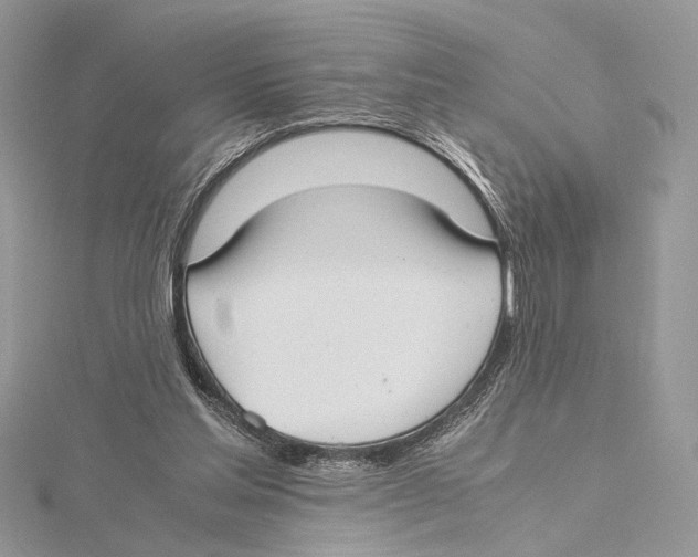 X0000115540205200912041018