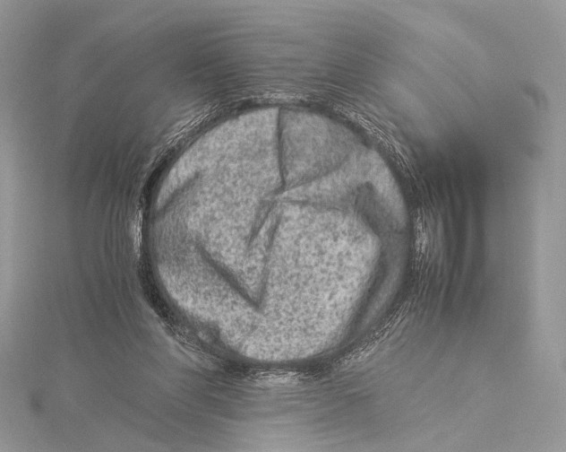 X0000115540206200912041018