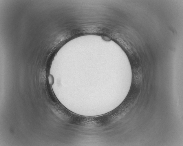 X0000115540207200912041018