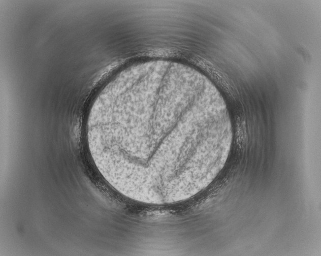 X0000115540208200912041018