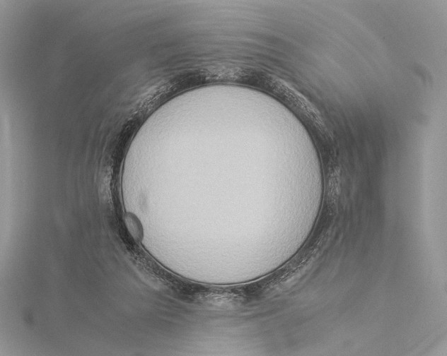 X0000115540209200912041018