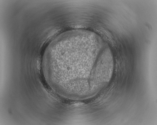 X0000115540210200912041018