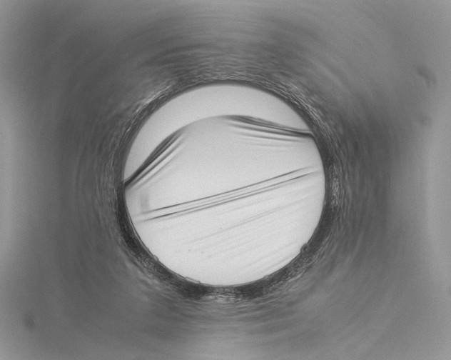 X0000115540211200912041018