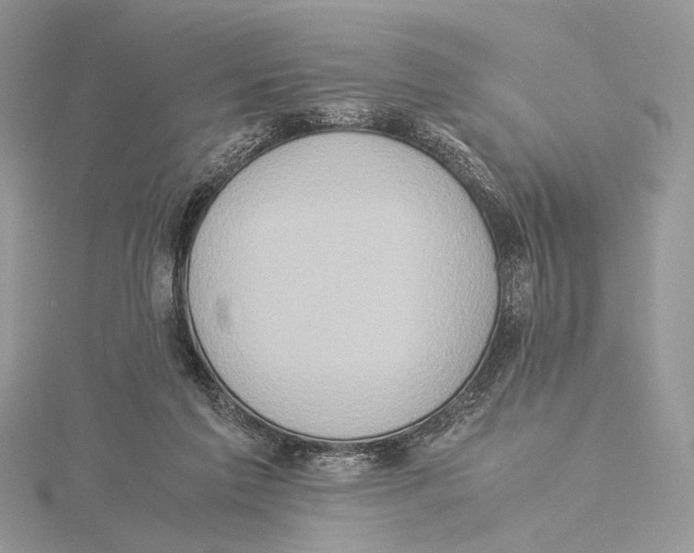 X0000115540213200912041018