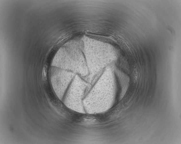 X0000115540214200912041018