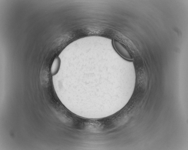 X0000115540215200912041018