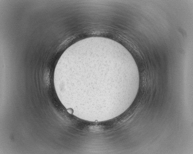 X0000115540216200912041018