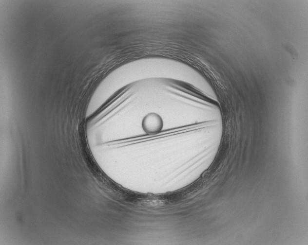 X0000115540217200912041018