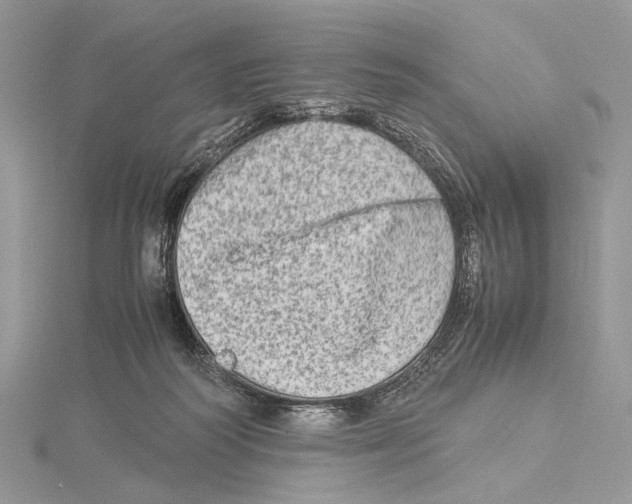 X0000115540218200912041018