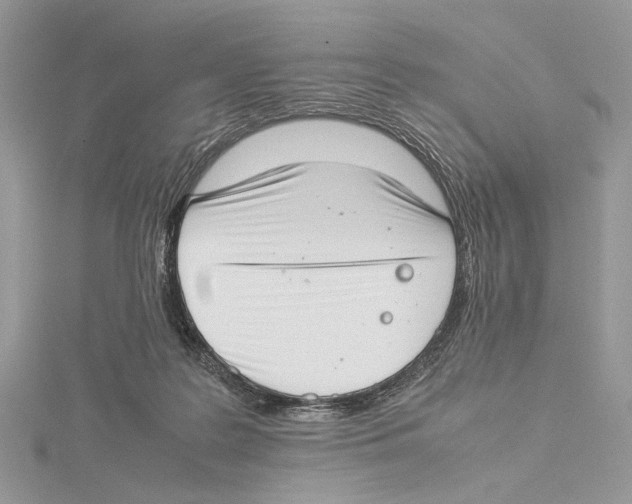 X0000115540219200912041018