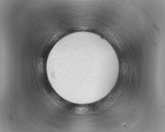 X0000115540220200912041018