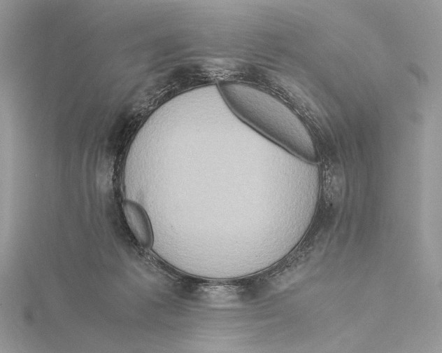 X0000115540221200912041018