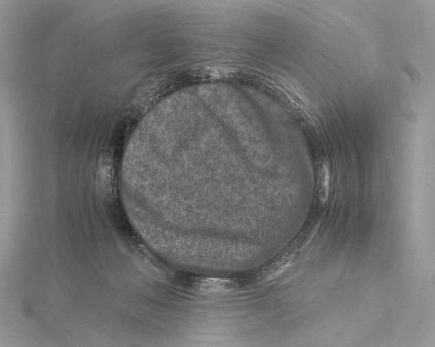 X0000115540222200912041018