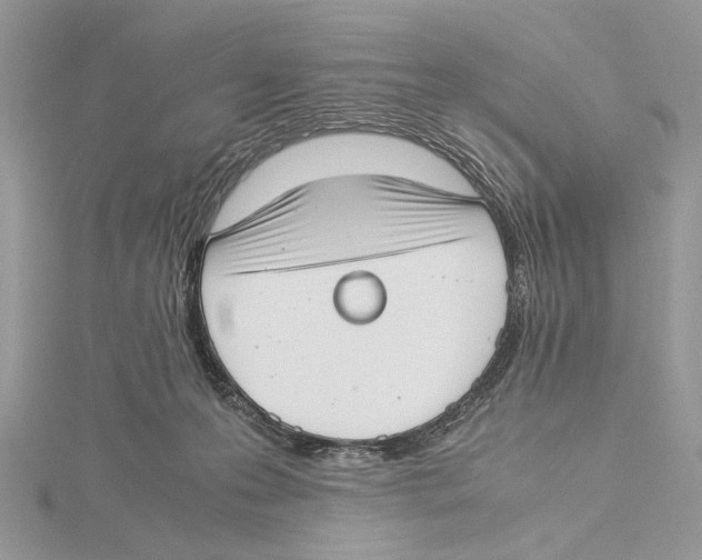 X0000115540223200912041018