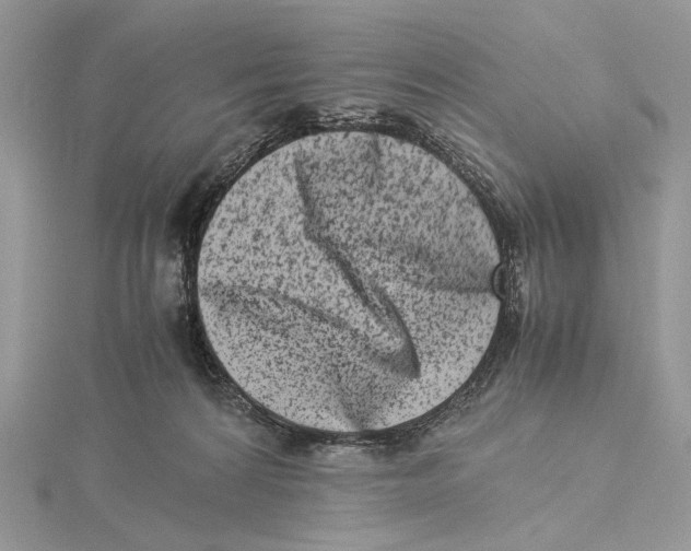 X0000115540224200912041018