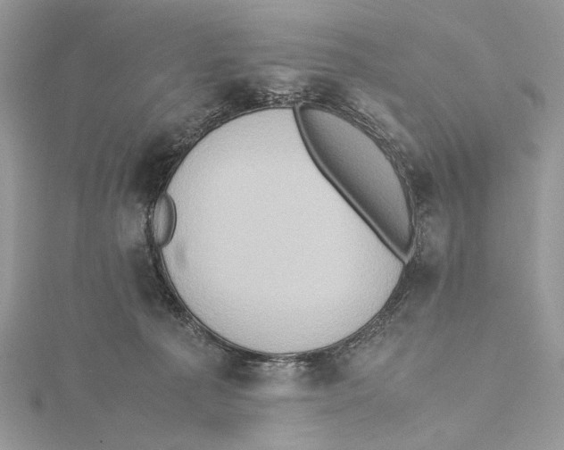 X0000115540225200912041018