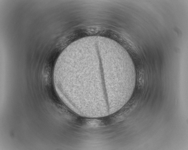 X0000115540226200912041018