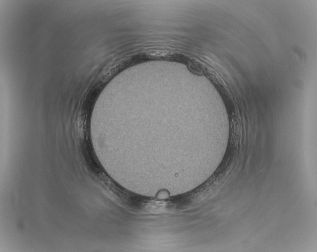 X0000115540227200912041018