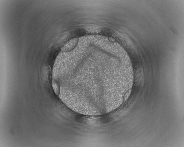 X0000115540229200912041018