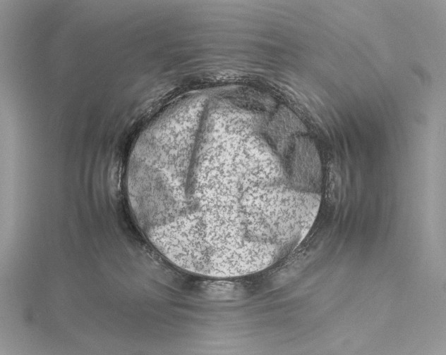 X0000115540230200912041018