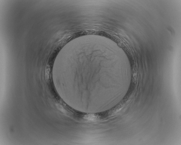 X0000115540231200912041018