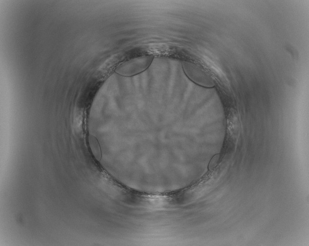 X0000115540233200912041018