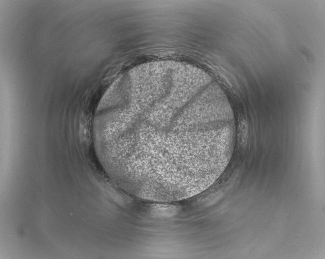 X0000115540234200912041018