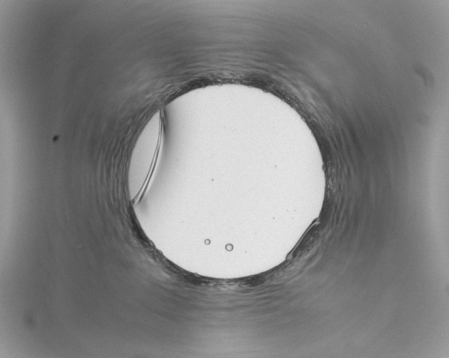 X0000115540235200912041017