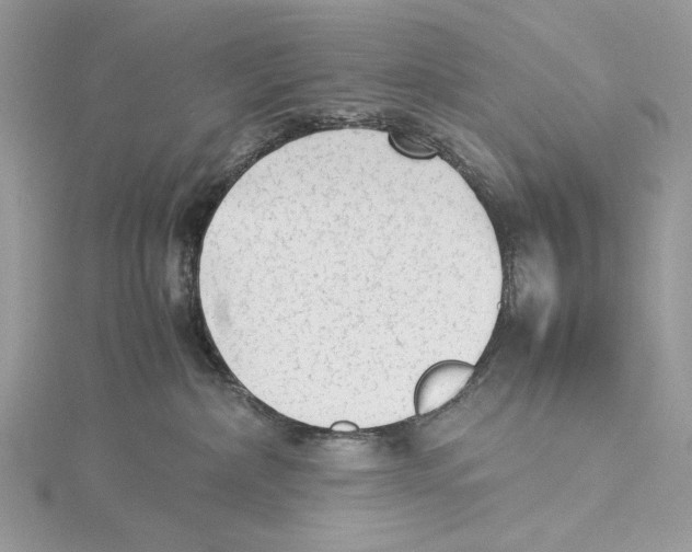 X0000115540236200912041017