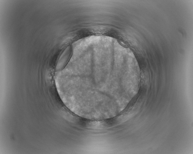 X0000115540237200912041017