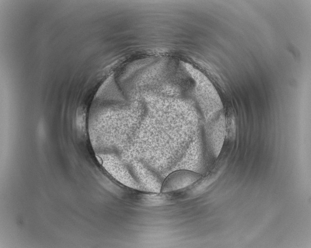 X0000115540238200912041017